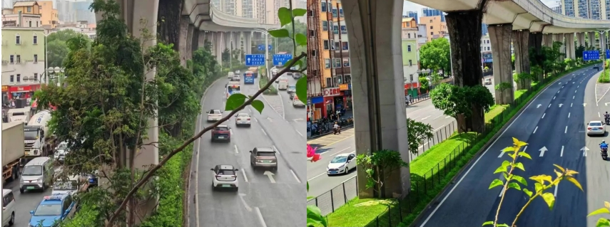 ca88�ֻ��ͻ���(��׿/ƻ��)CA88��Ա��¼���