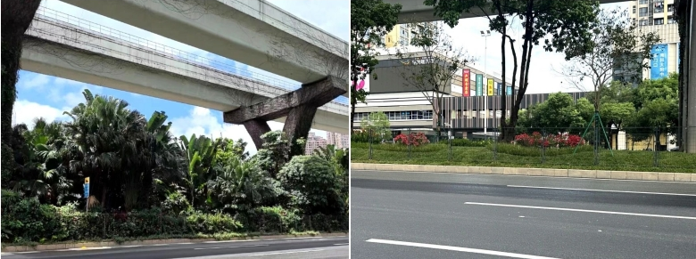 ca88�ֻ��ͻ���(��׿/ƻ��)CA88��Ա��¼���