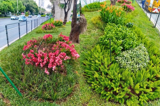 ca88�ֻ��ͻ���(��׿/ƻ��)CA88��Ա��¼���